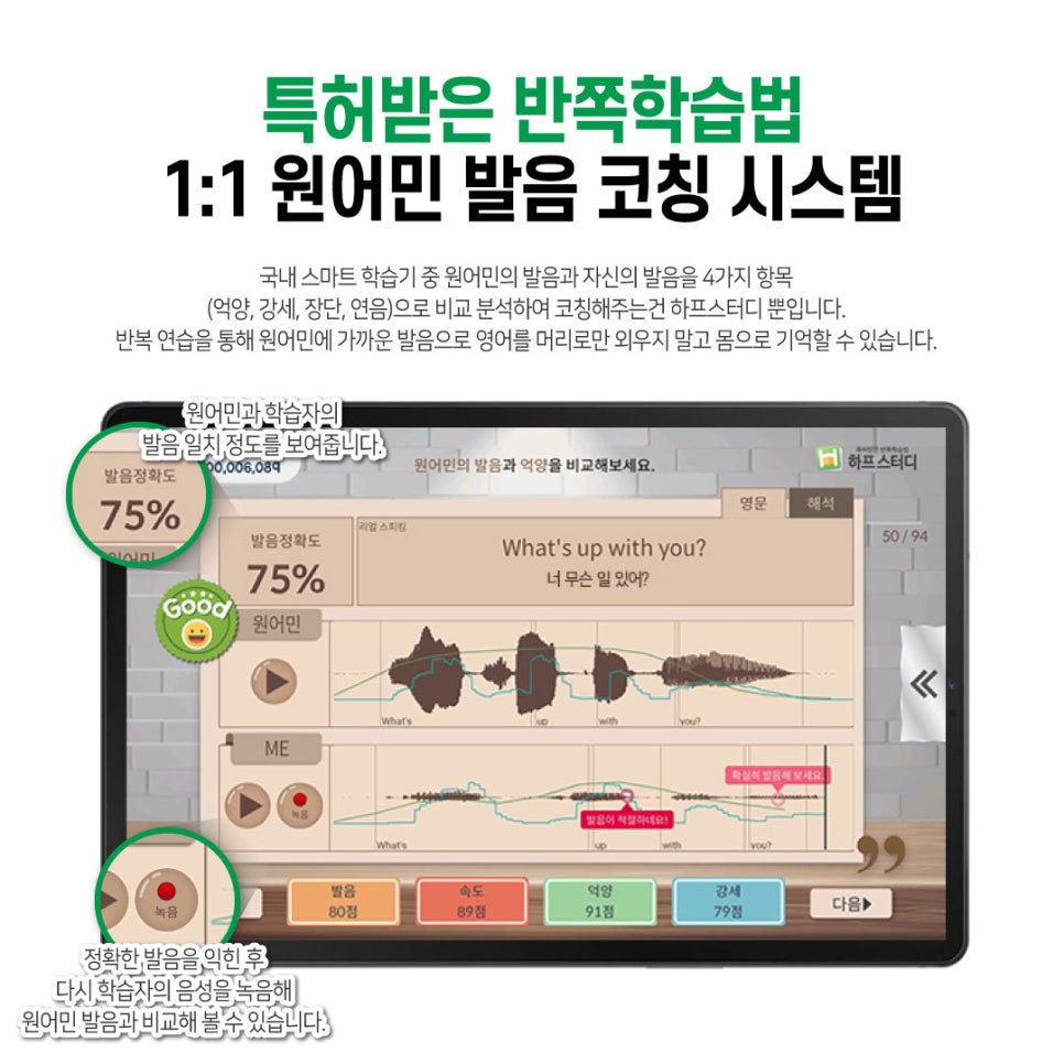 스터디튜터 이미지