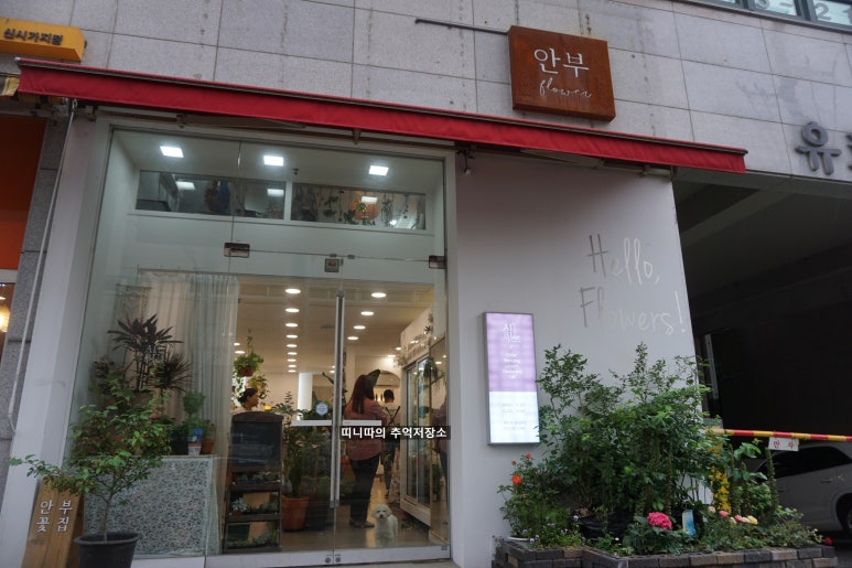 안부플라워 이미지