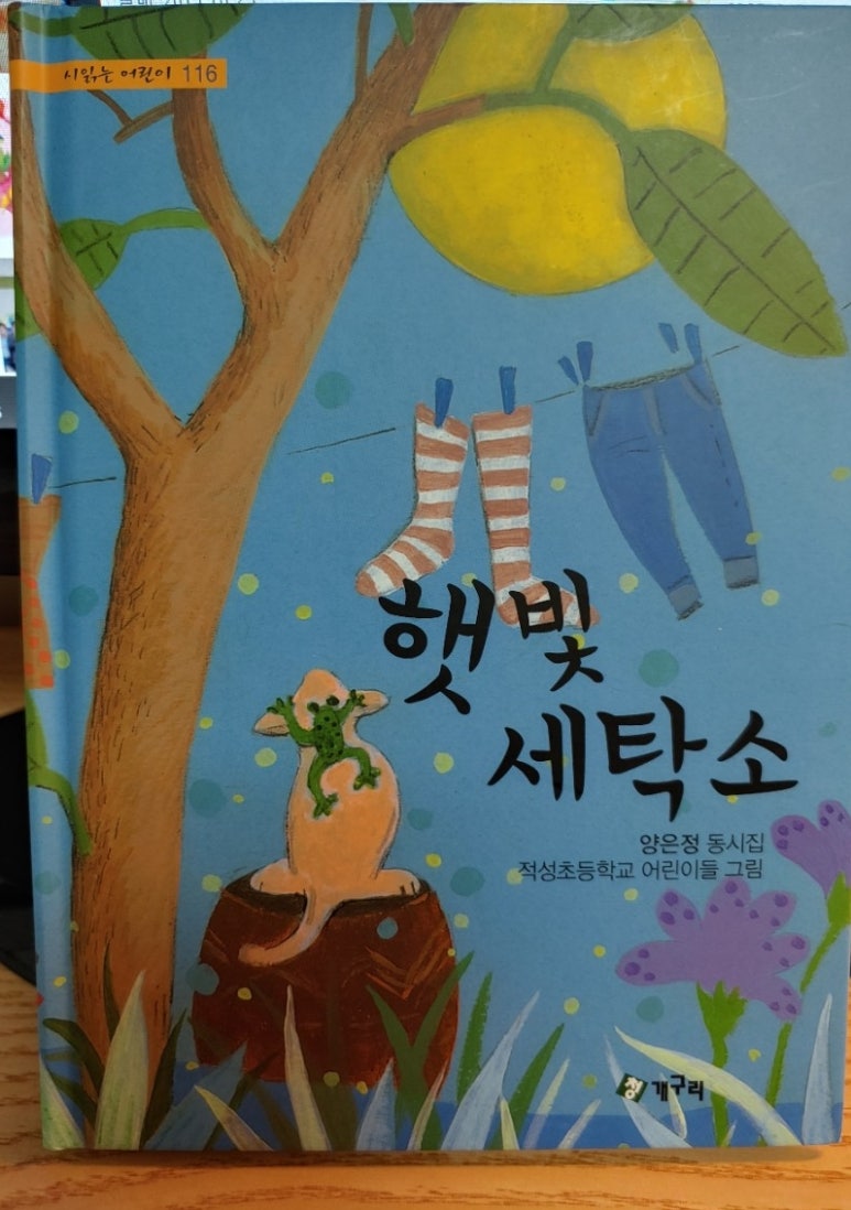 햇빛세탁소 이미지