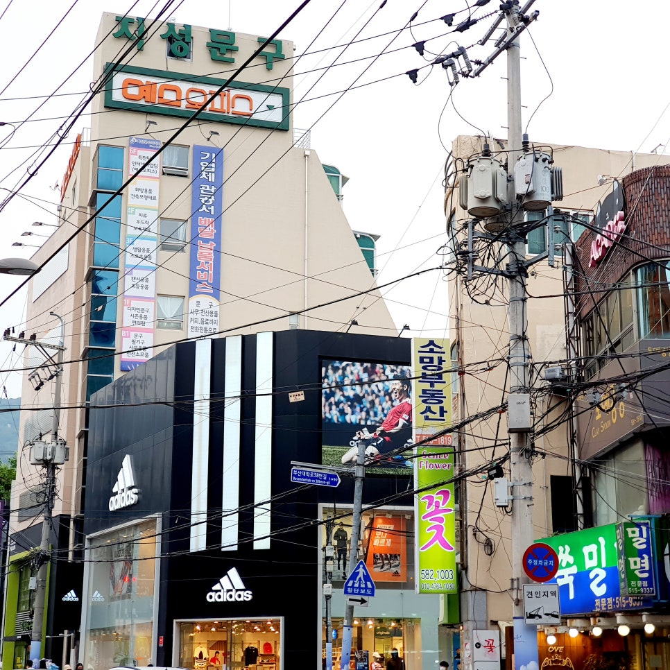 뉴센스마트 이미지