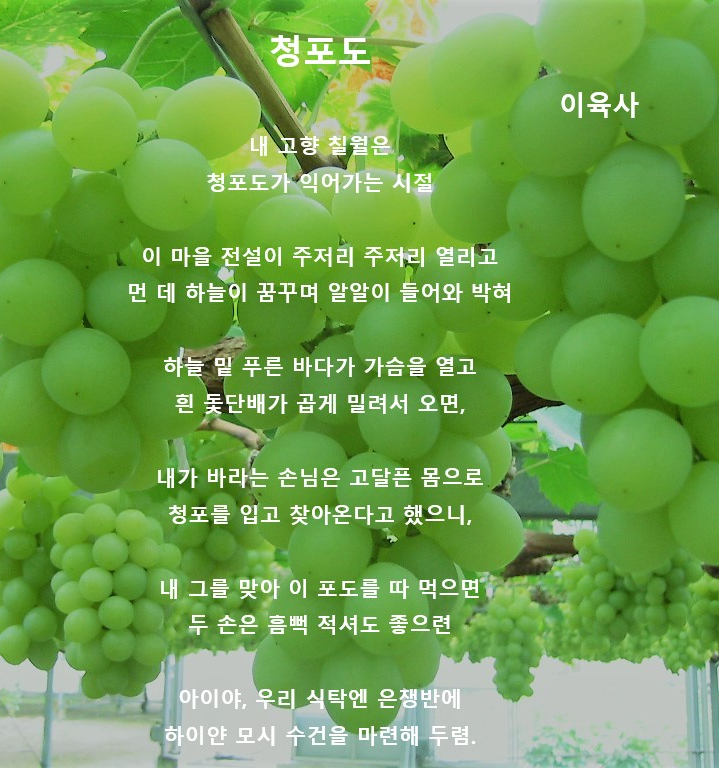 유피아이 이미지