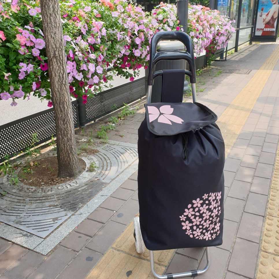 라모다 이미지