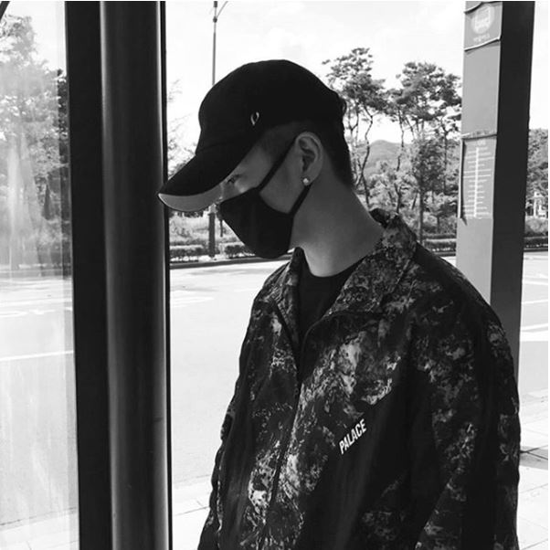 단디코리아 이미지