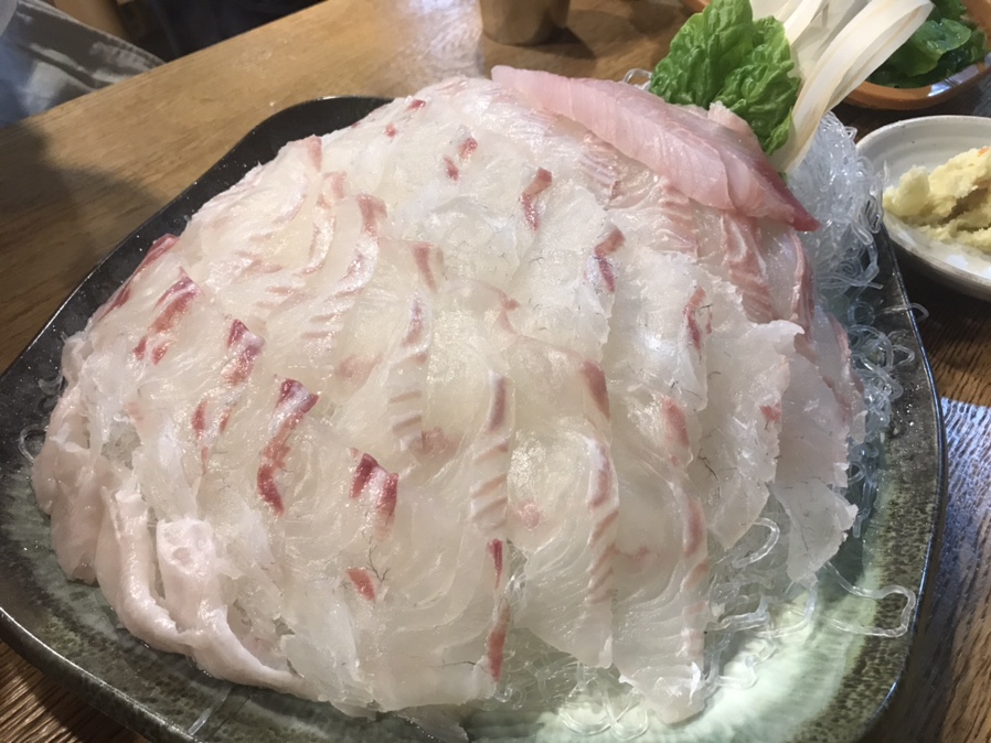 낙지코지 이미지