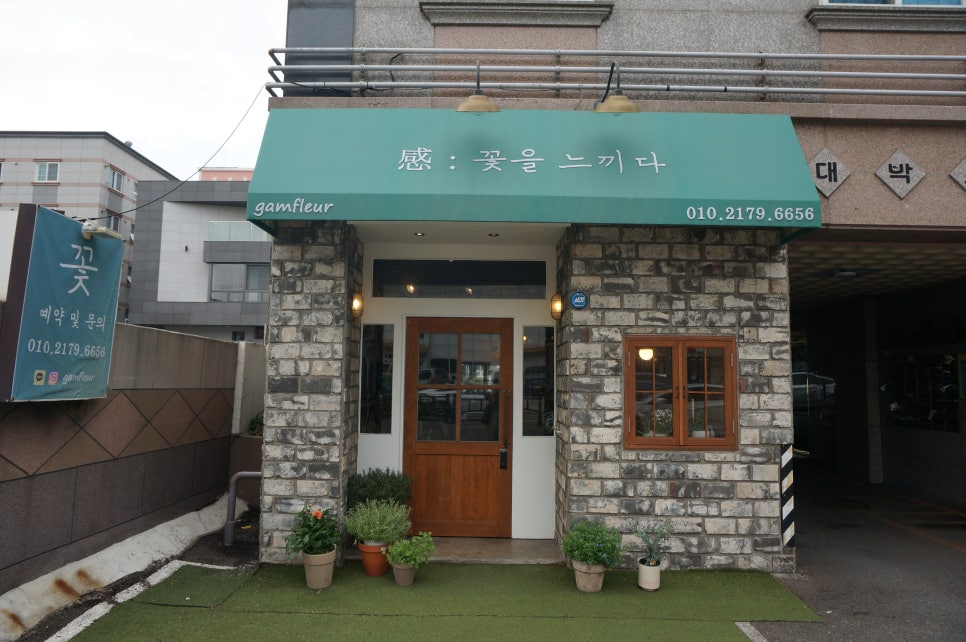 감플레르 이미지