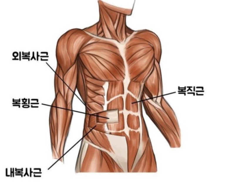 몽키짐 이미지