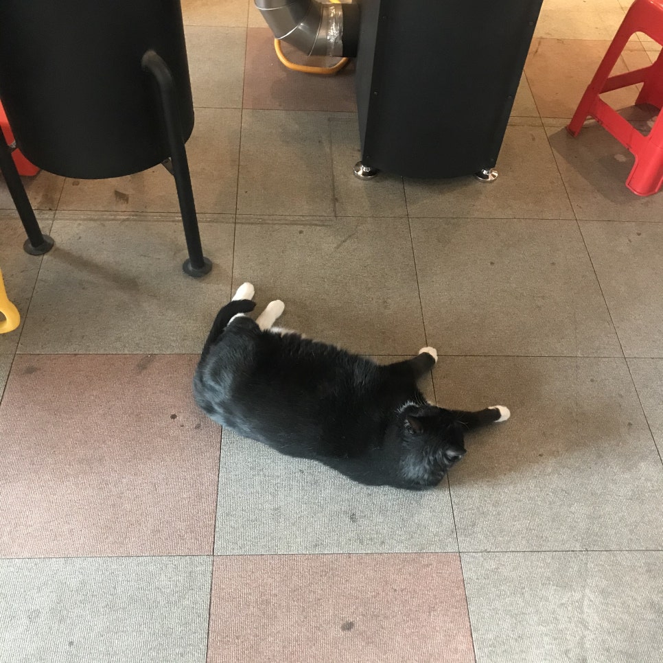 로스팅하우스수 이미지