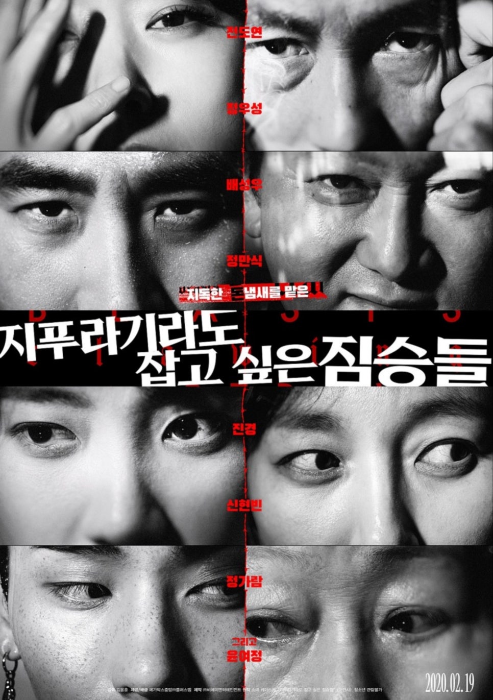 짐승짐 이미지