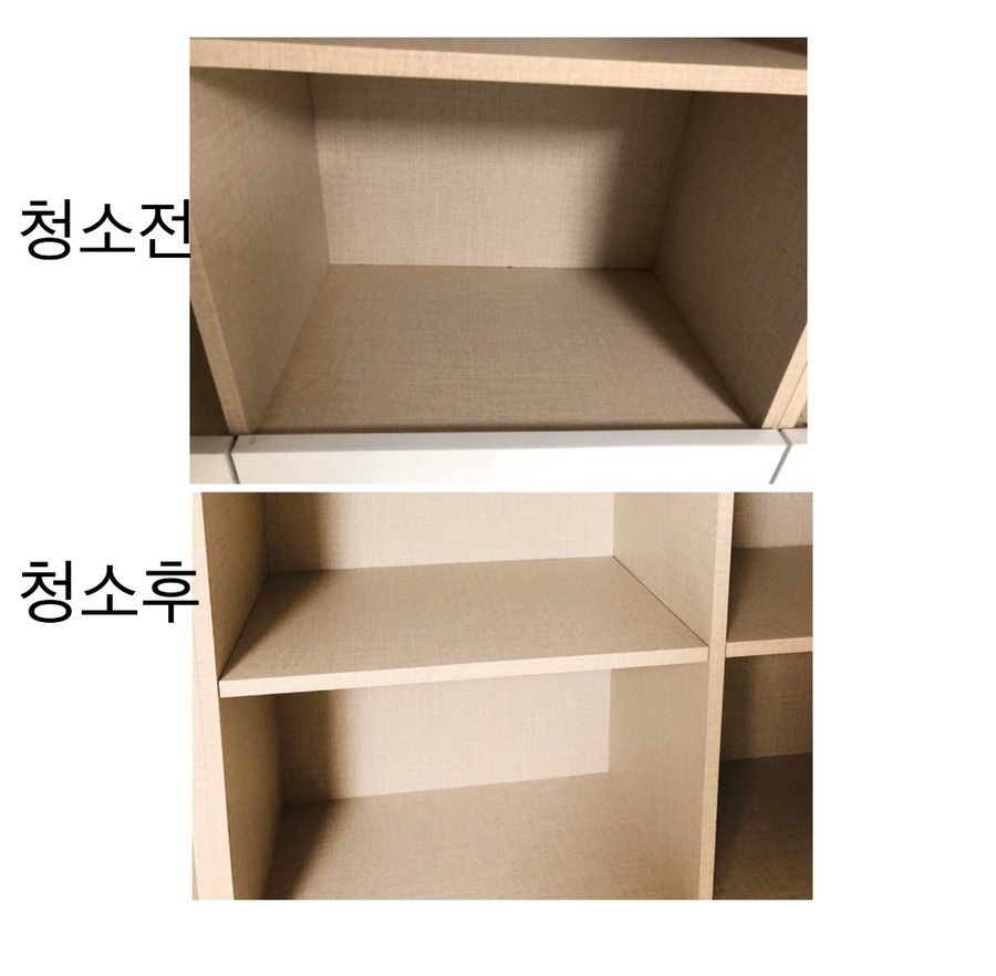 더 블룸 이미지