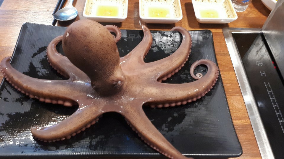 본세이로무시 이미지