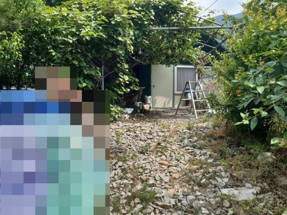 황금텃밭농장 이미지