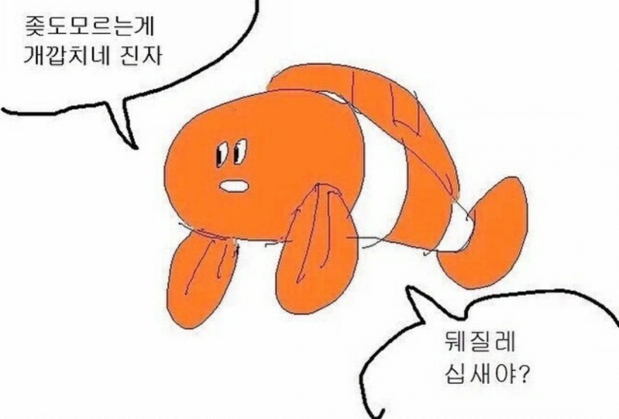 포실 이미지