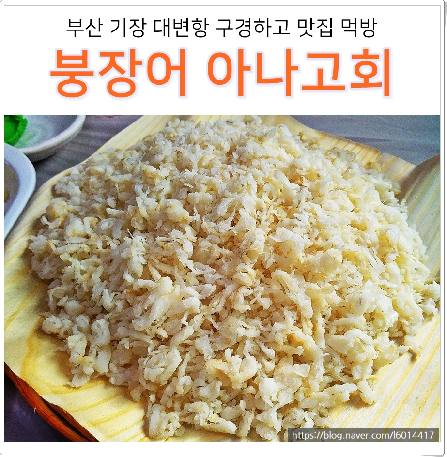 신나는아나고 이미지