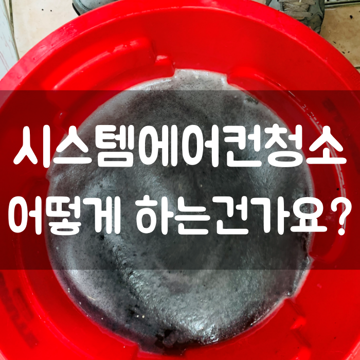 크리니트S 이미지