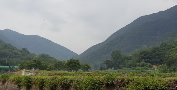 황금텃밭농장 이미지
