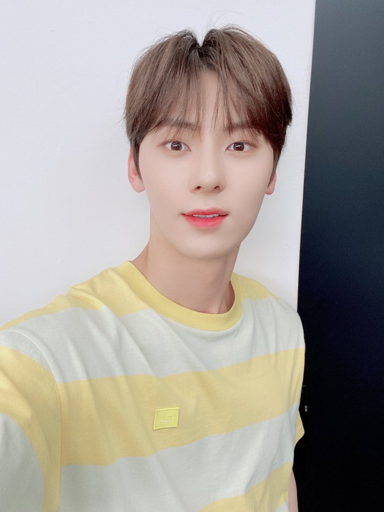 노랑병아리 이미지