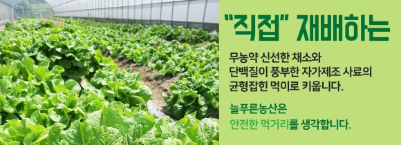 늘푸른농산 이미지