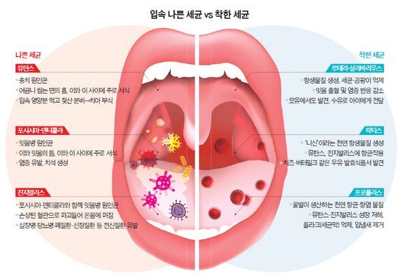 밸류드 이미지
