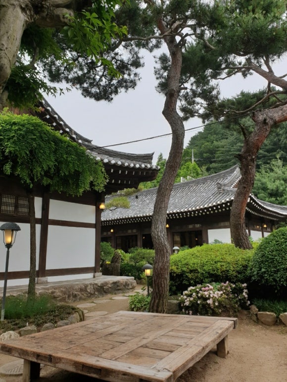 희원카페 이미지