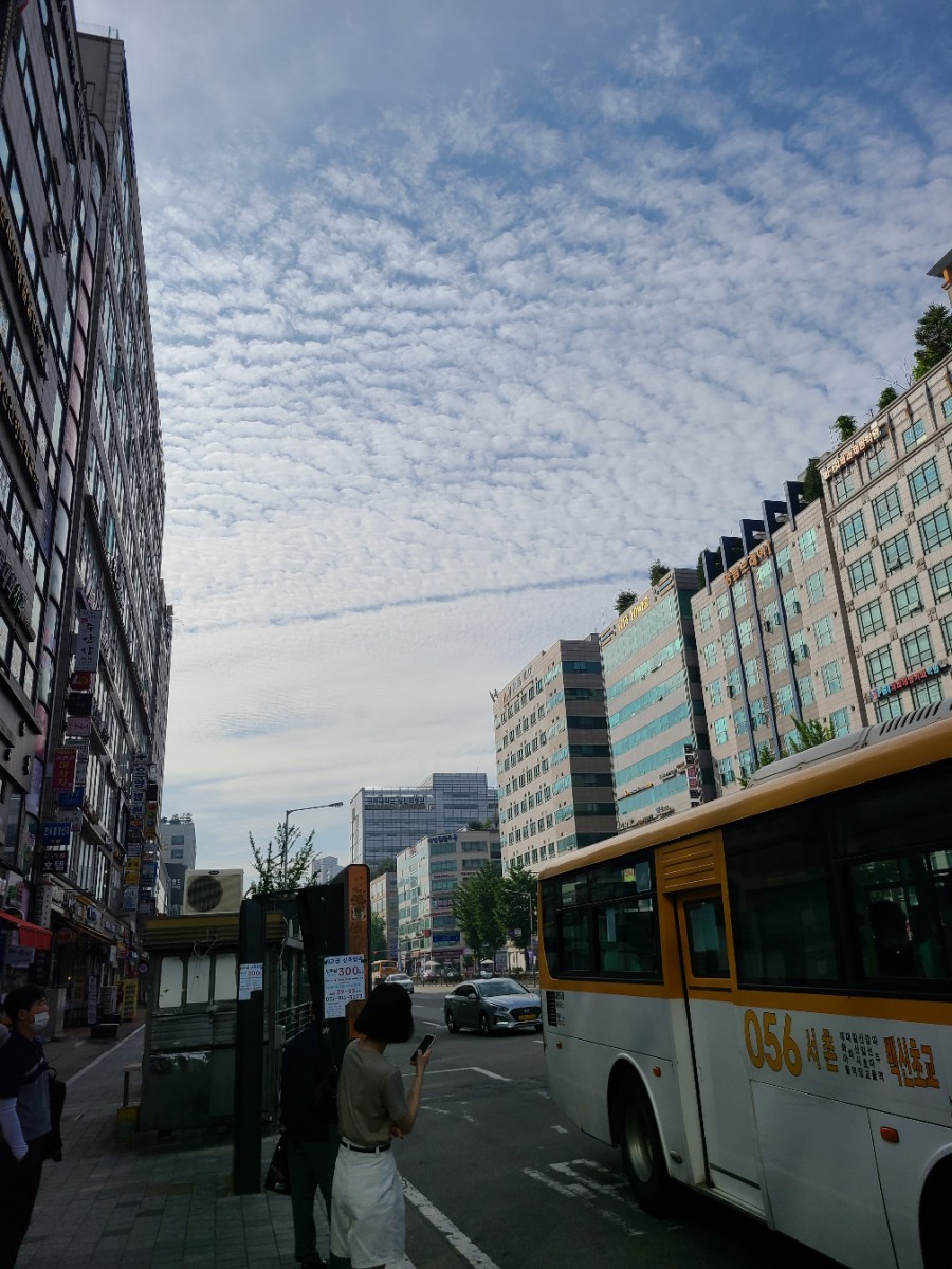 박복임바디스쿨 이미지