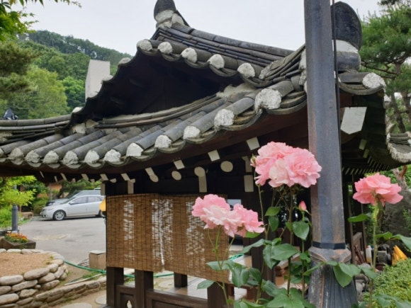희원카페 이미지