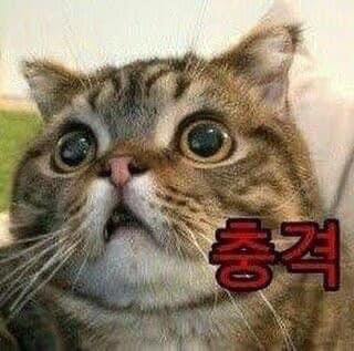 얌샘 이미지