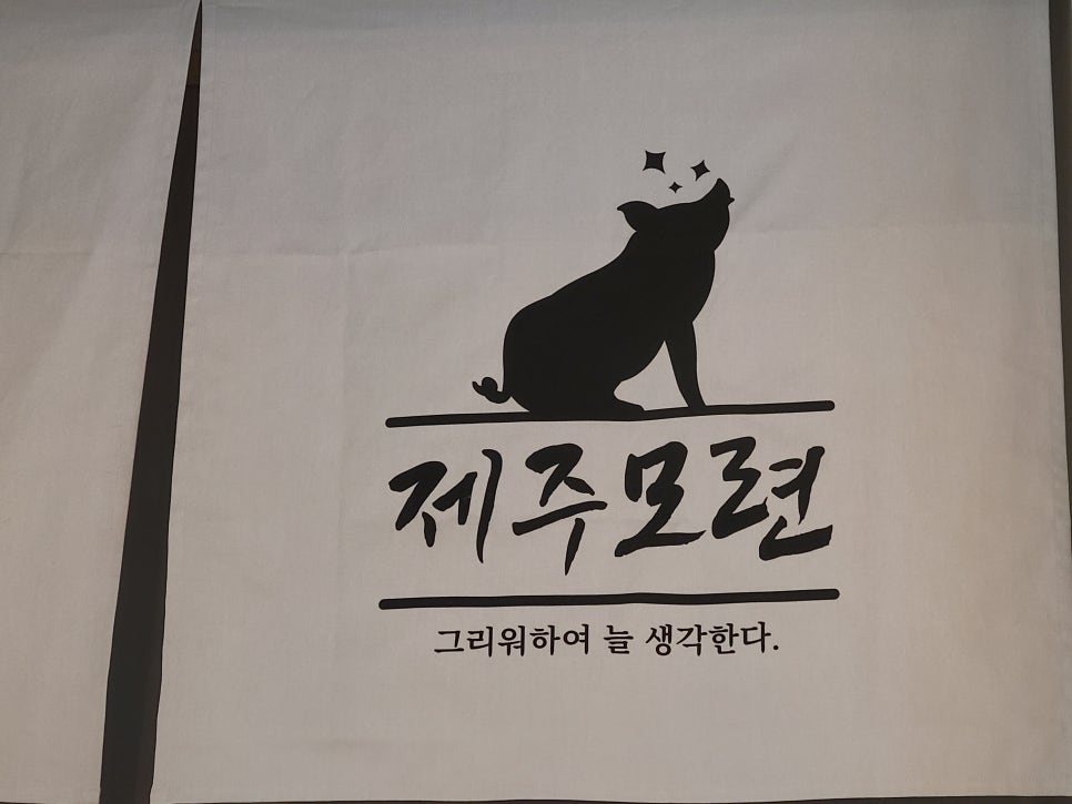 제주모련 이미지