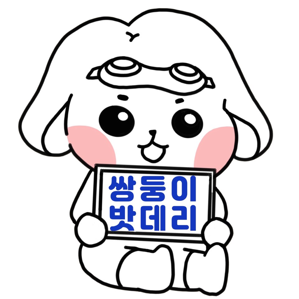 쌍둥이밧데리 이미지