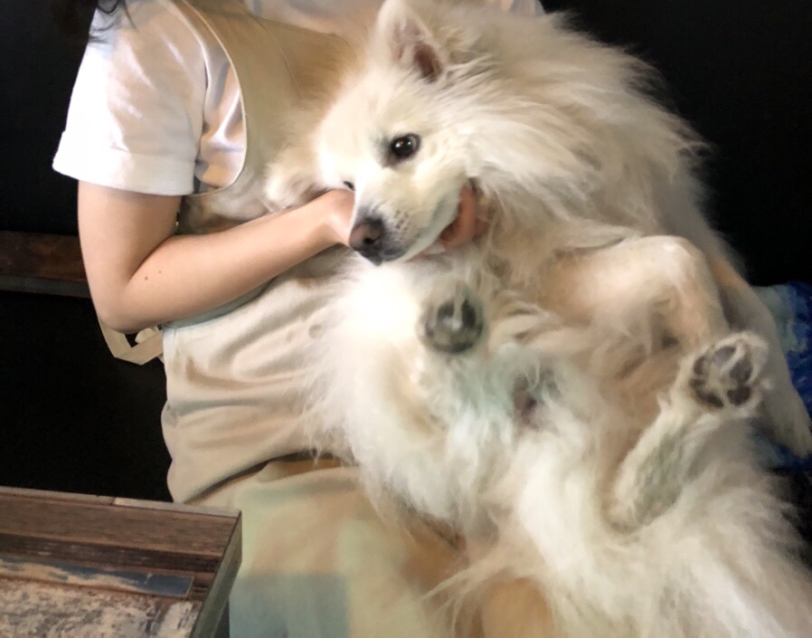 그 남자의 주방 이미지
