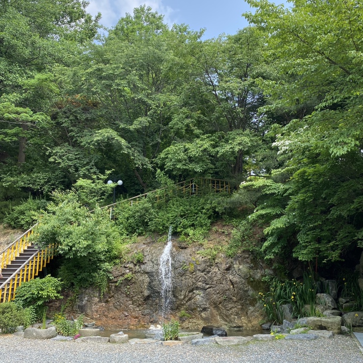 초원꽃카페 이미지