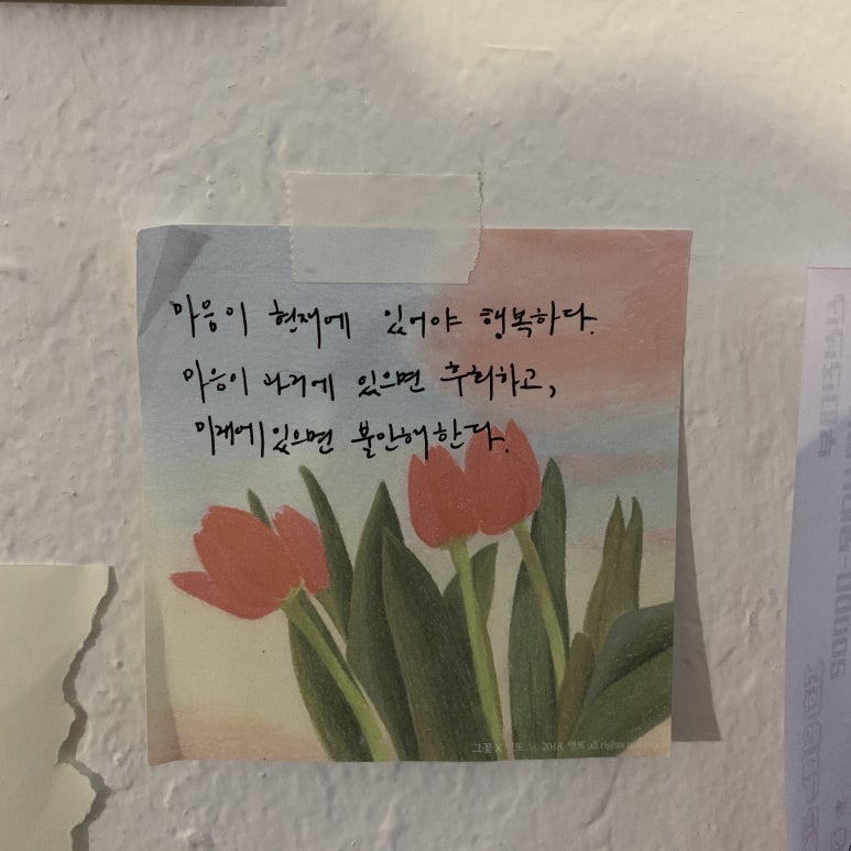 동네과일 이미지