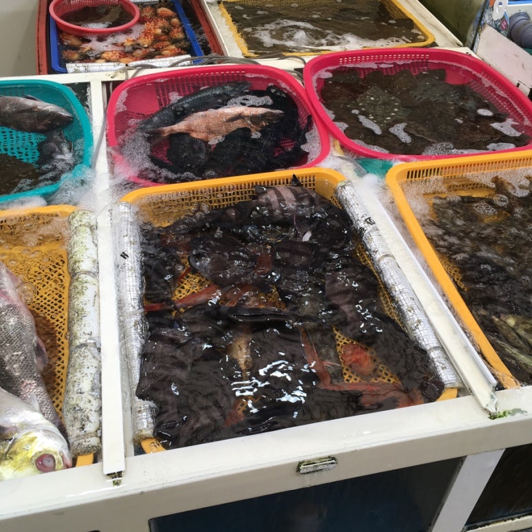 유람선충무김밥 이미지