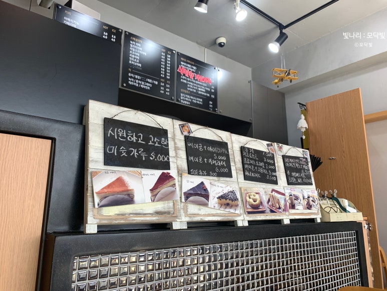 커피트리(COFFEE TREE) 이미지