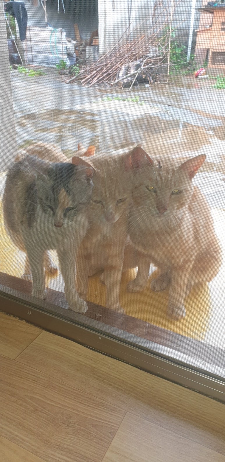 (주)효소세상 이미지
