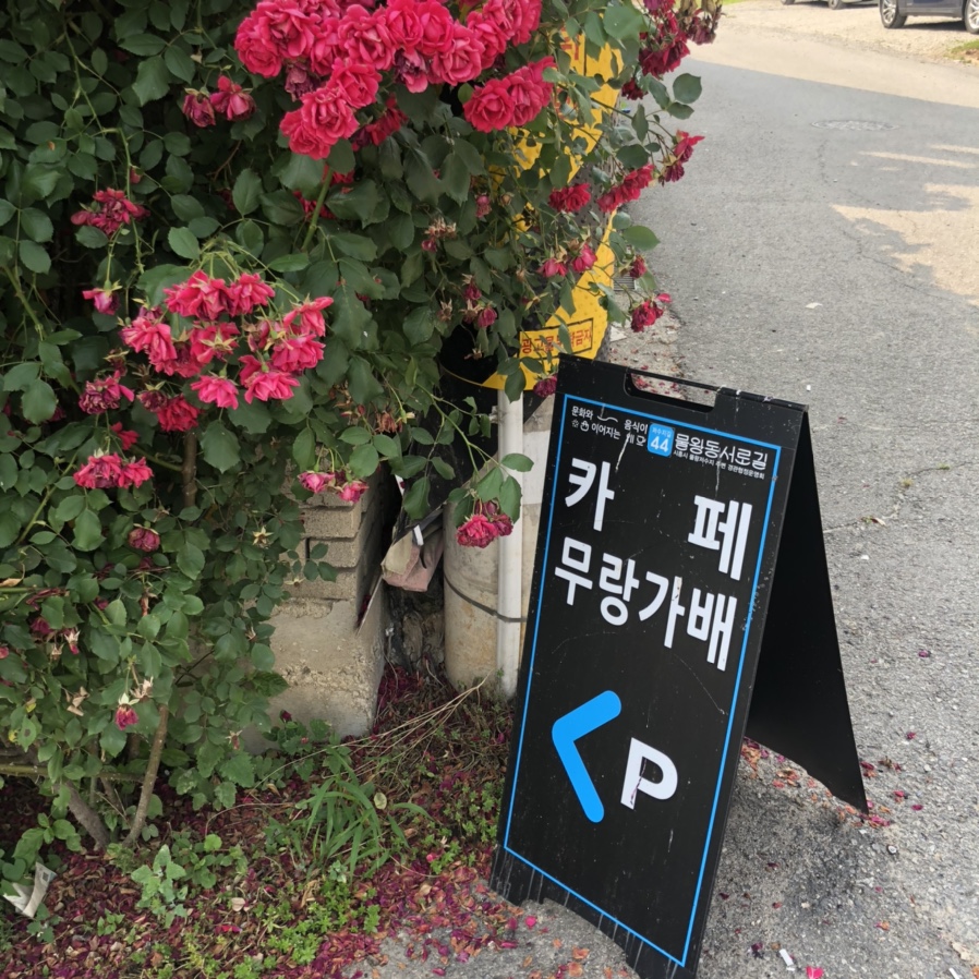 무랑가배 이미지