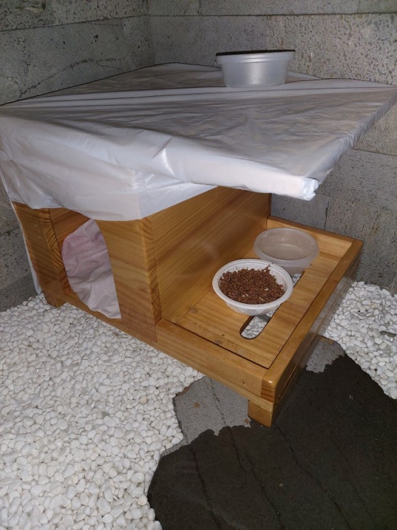 깜시네 이미지