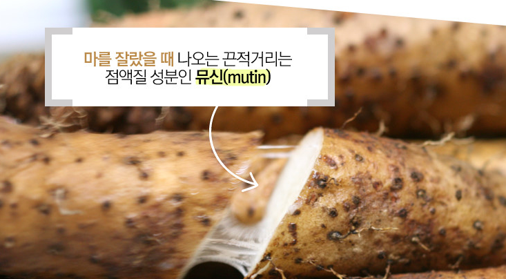구뜨밀 이미지