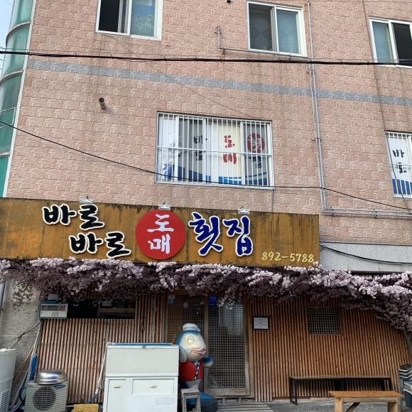 가야도매횟집 이미지