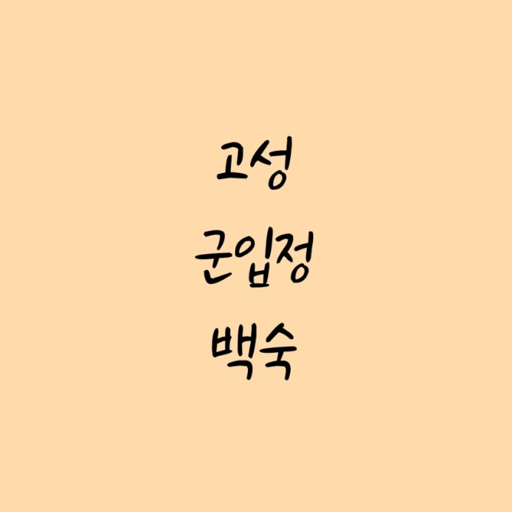 군입정 이미지