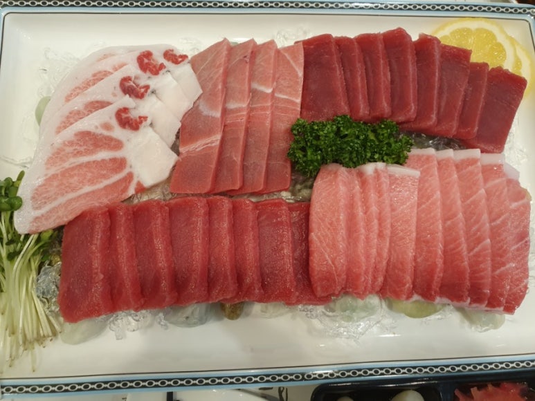 애해야참치 이미지