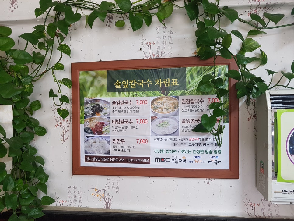 솔잎국수 이미지
