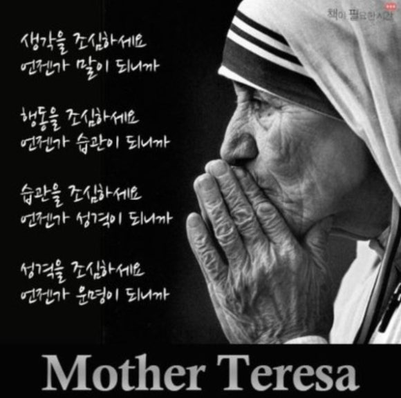 테라사 이미지