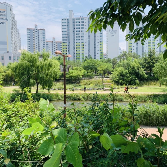 주용철세차장 이미지