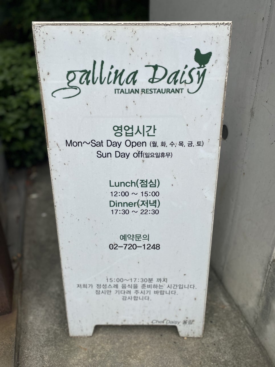 파스타 데이지 이미지