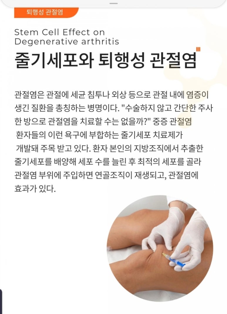 이에이치엘 이미지