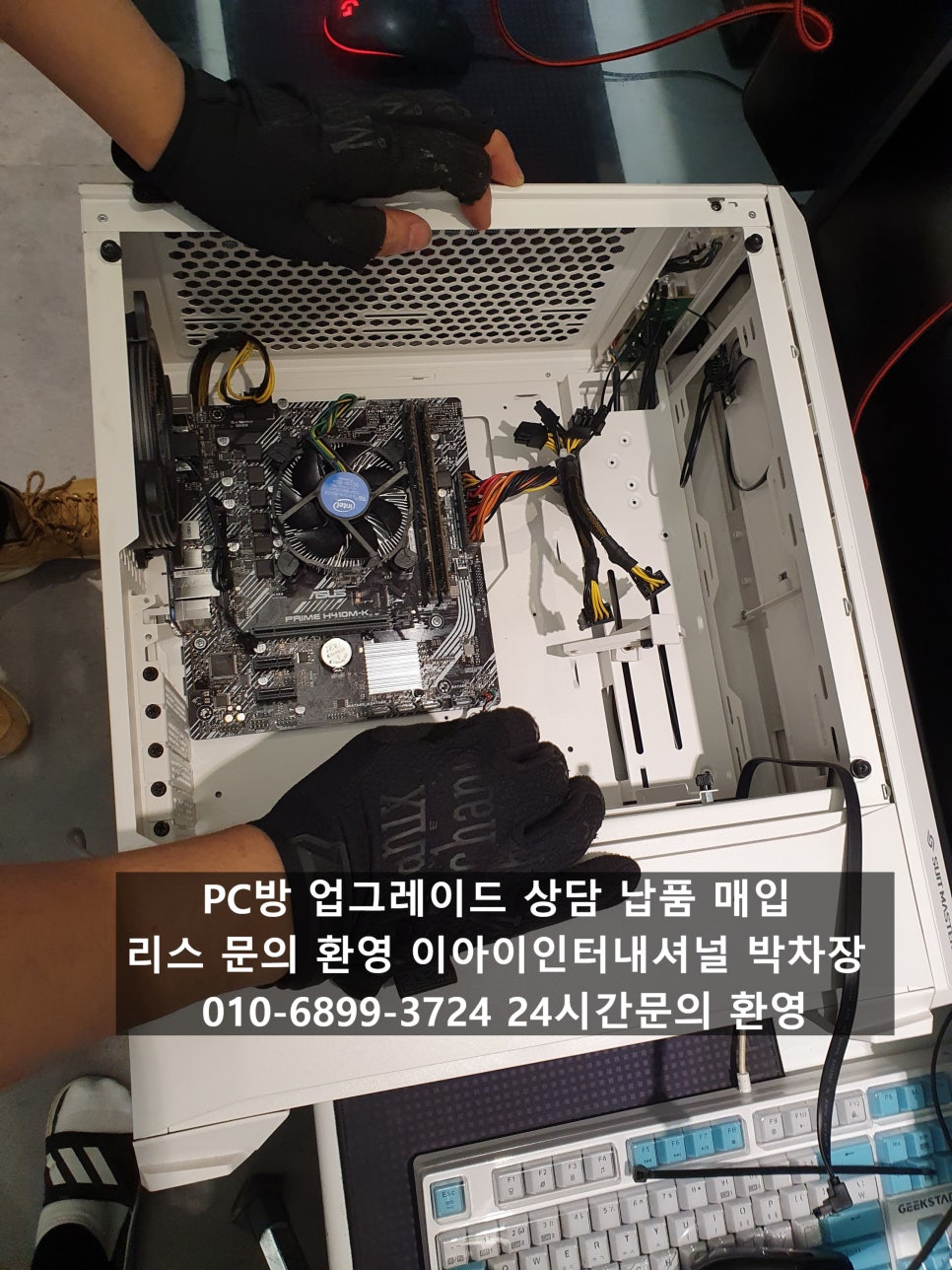 피시쿠스 이미지