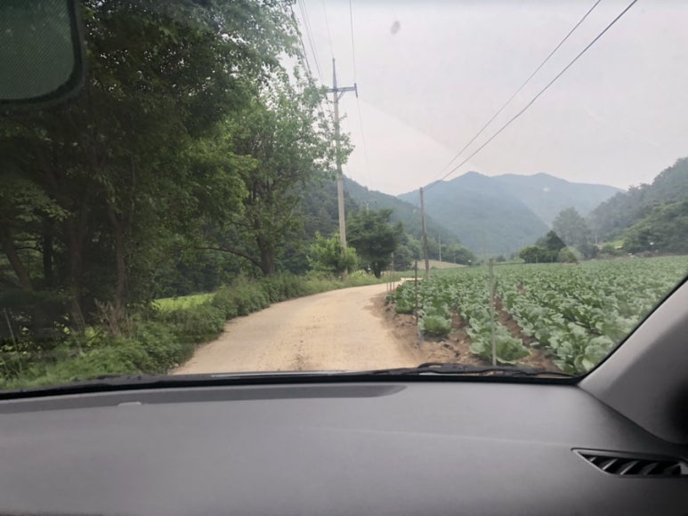 도그밀리 이미지