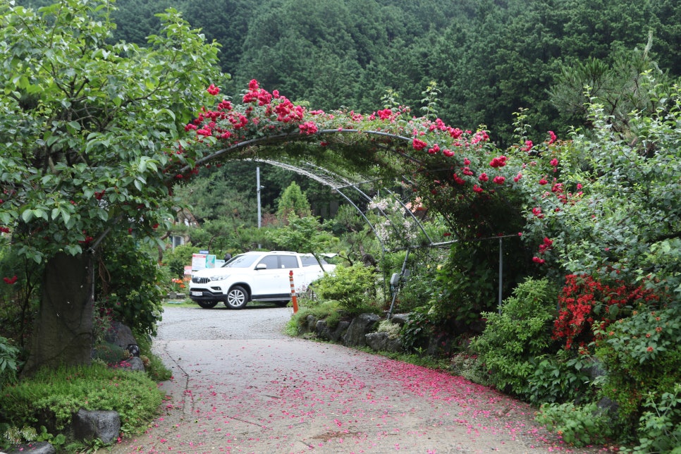 월성 산아래 글램핑 이미지