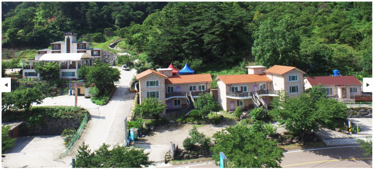 지리산황금나무 이미지