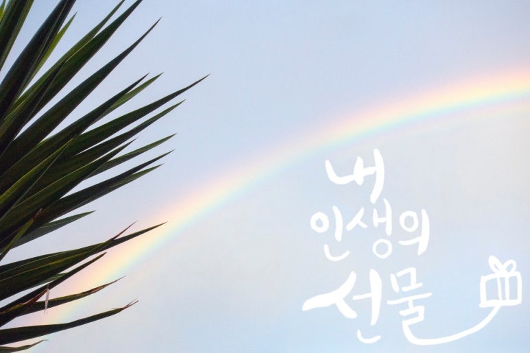 소예캘리그라피 이미지